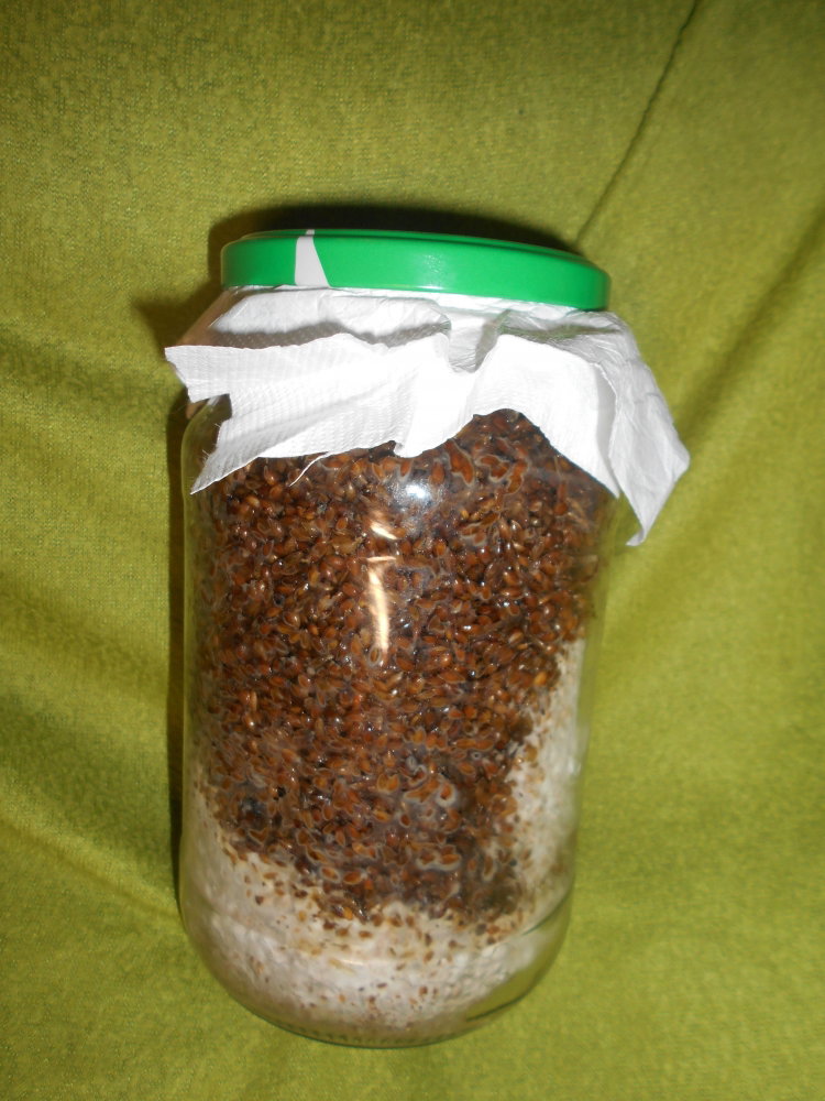 DSCN6671.thumb.JPG.251661bab5ecdcac4d1456fd471204ad.JPG