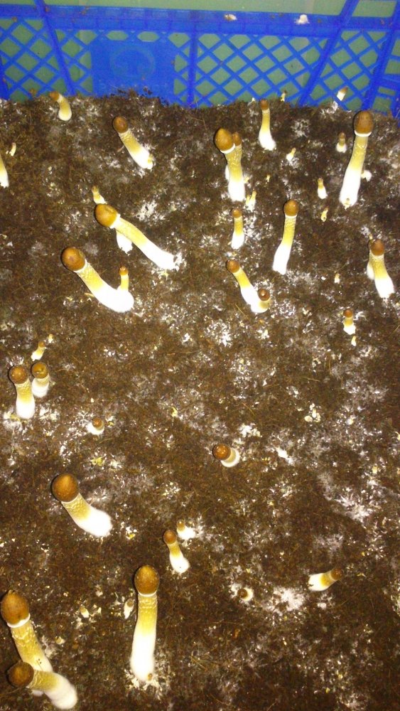 DSC_0002.jpg