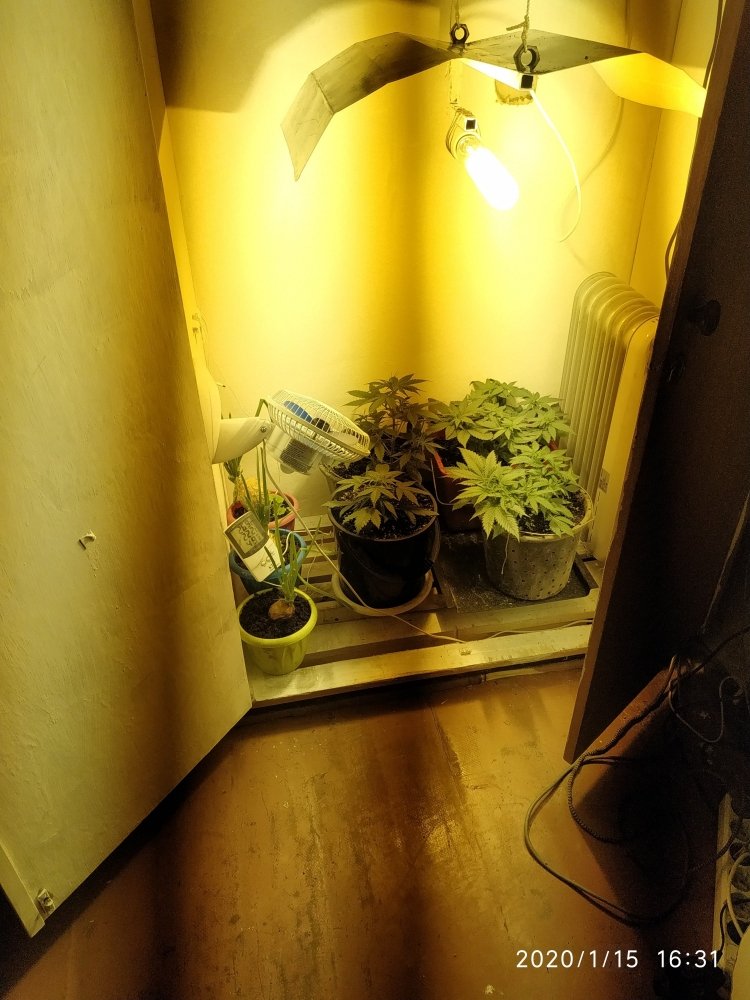 IMG_20200115_163128.jpg