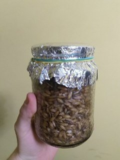 index3.thumb.jpg.88b4da6882b359eebae19bac713a0a98.jpg