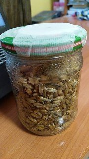 index4.thumb.jpg.8f50fa96ae1a74772c64ce476d23b2a2.jpg