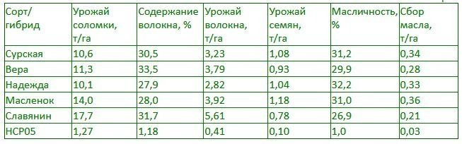 ru-cannabis-2019-strains.jpg