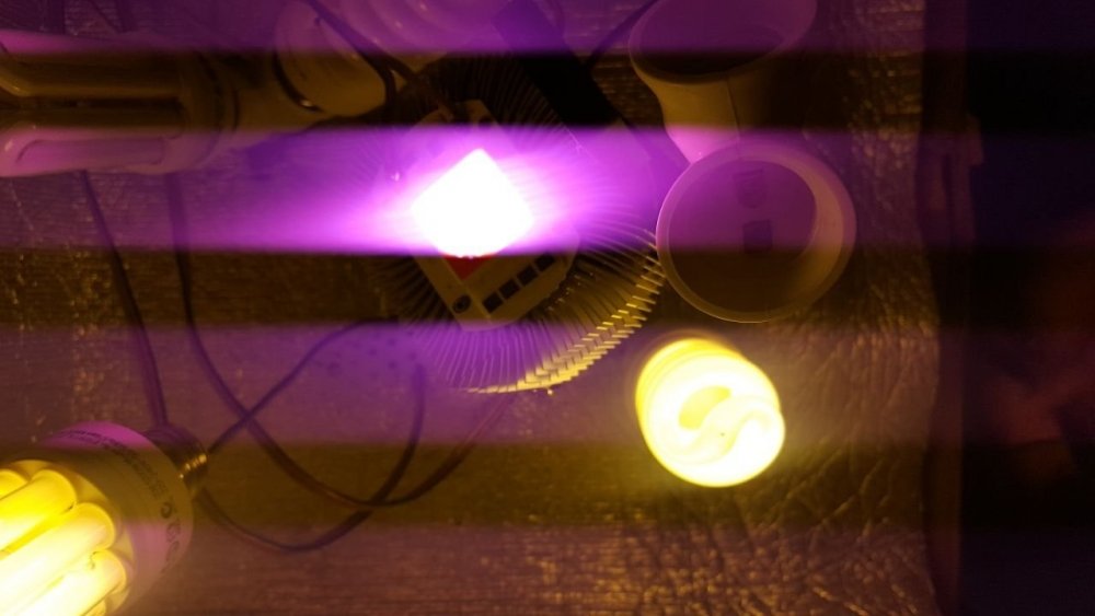 247532099_185425.jpg