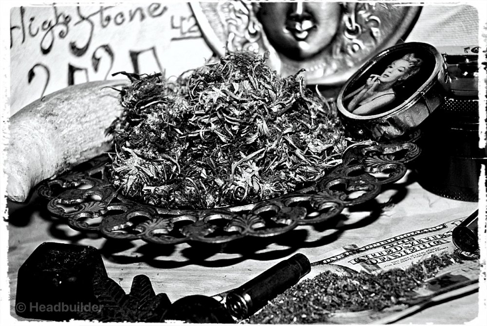 _DSC4496_Fotor.thumb.jpg.ca006e0efe39d0eaa719cbb0cdc1b90a.jpg