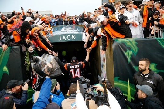 bengals-cannabis.jpg