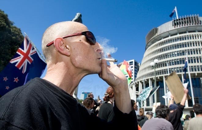 nz-cannabis.jpg