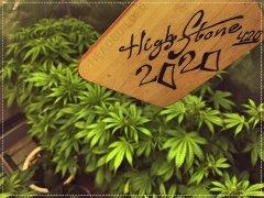 special for HS420'