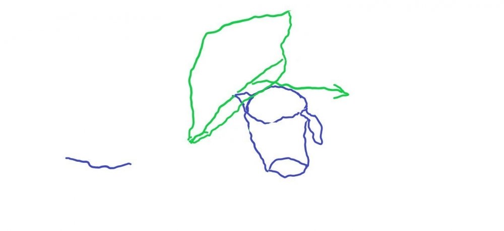 0.jpg