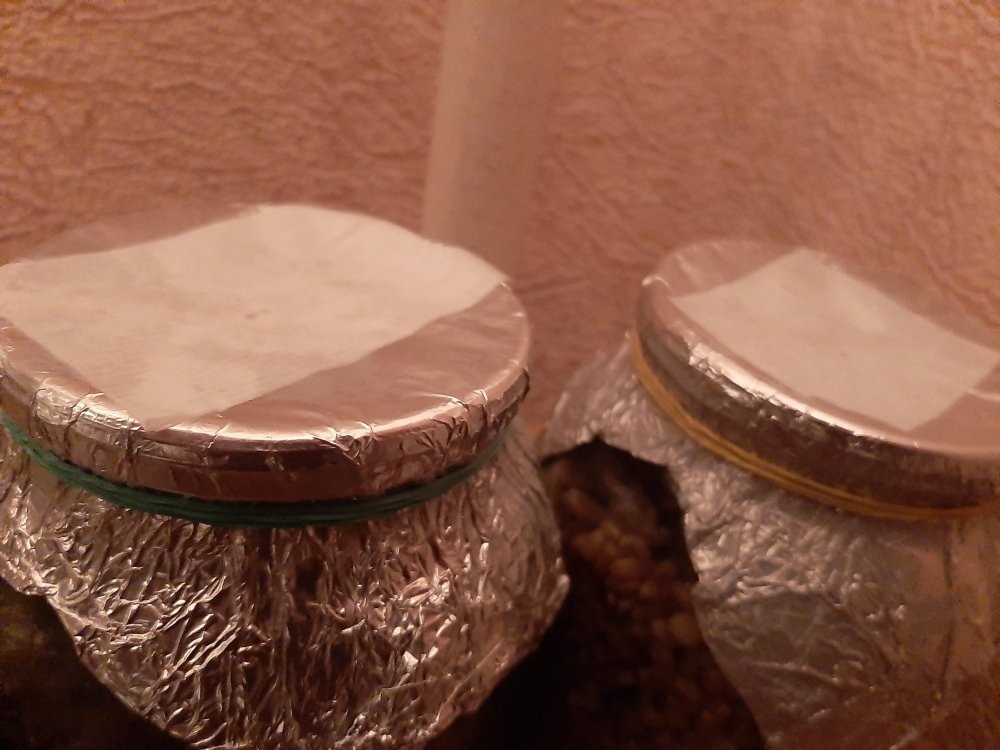 20200324_215550.jpg
