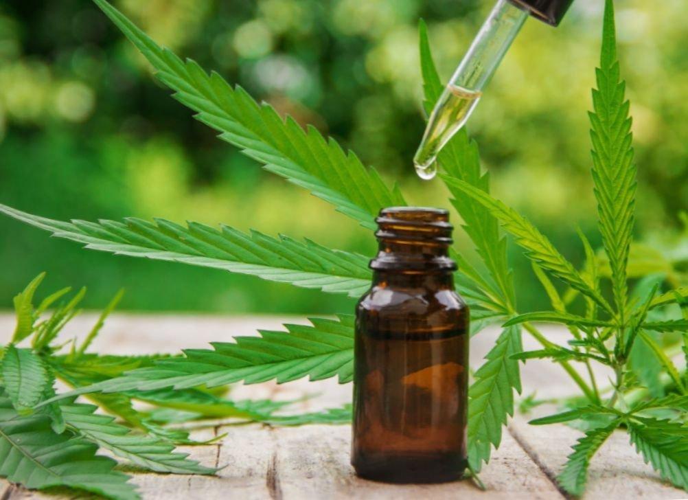 Настойки на конопле как делать лекарственные растения марихуаны