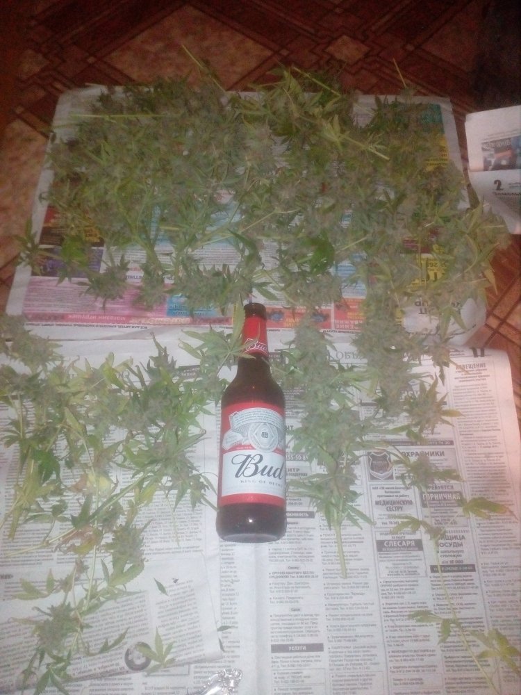 в общем.jpg