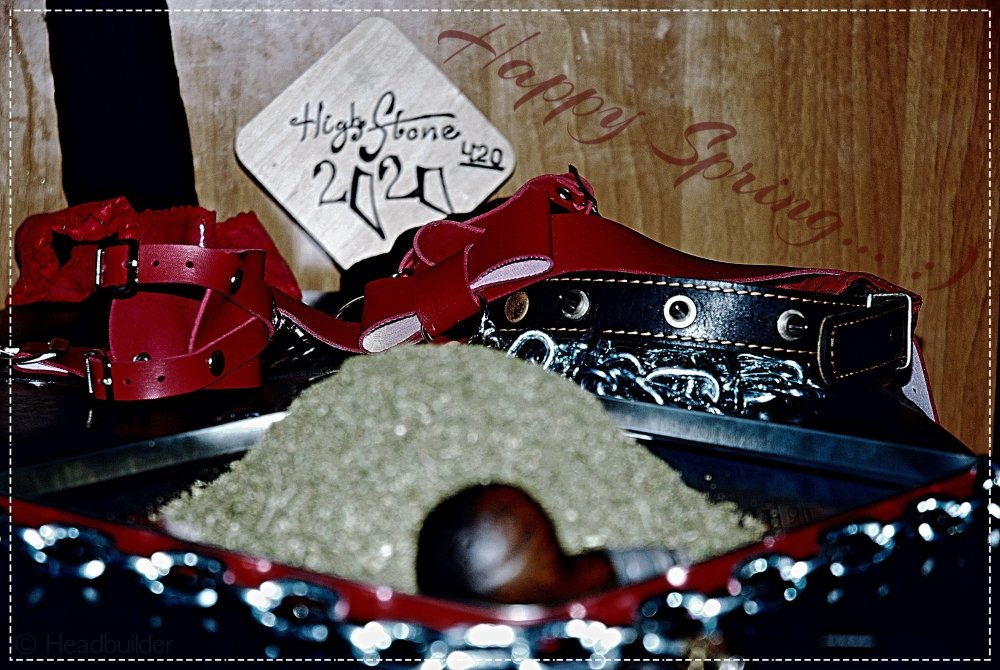 _DSC4708_Fotor.thumb.jpg.acb6ef08f4a2ede52fa7ea7240dc47b2.jpg