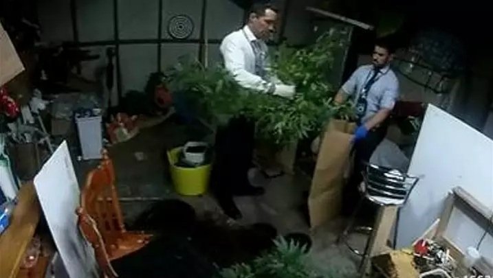 cannabis-australia-found.jpg