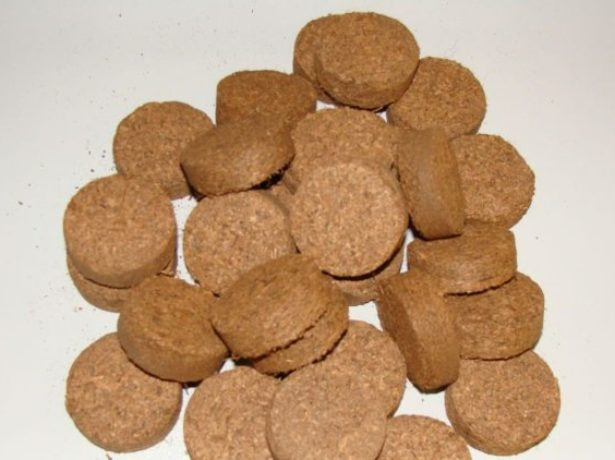 image.thumb.png.e6674e5c5fc7fded2e1a23dac1215a08.png