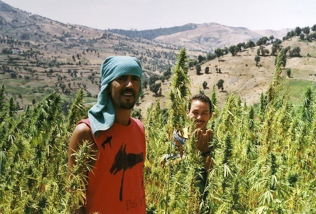 marocco-cannabis.jpg