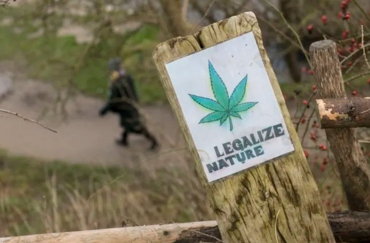 nfl-cannabis-legal.jpg