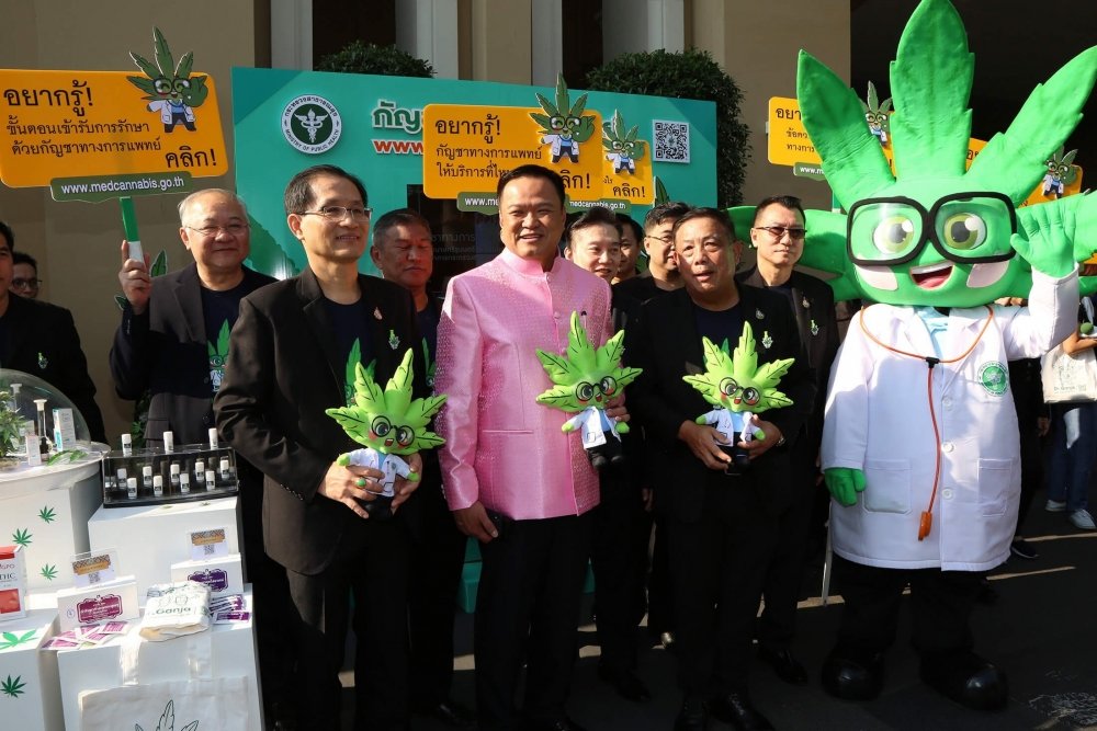 thai-doctor-ganja(1).jpg