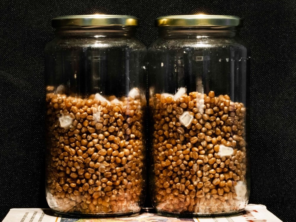 1912116089_Jars_12.thumb.jpg.905c1de192b864d9ba7d869fe6d653ca.jpg