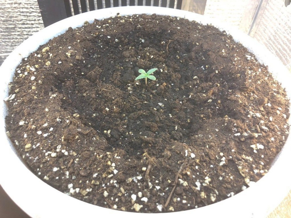 26-04-2020.JPG