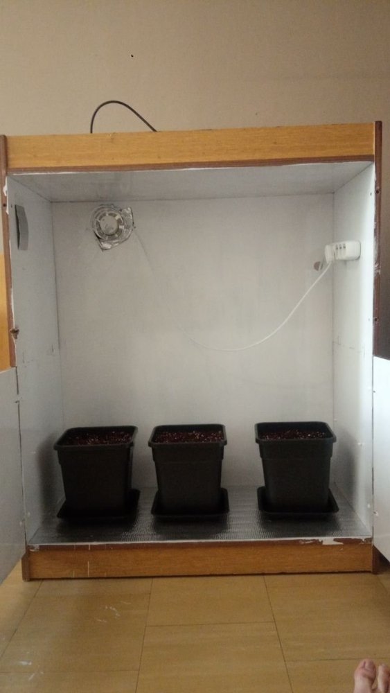 IMG_20200428_192004_697.jpg