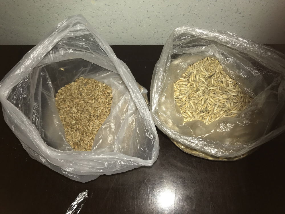 IMG_8151.thumb.JPG.8e6a4e27885eb6186fb3f7c390099eb4.JPG