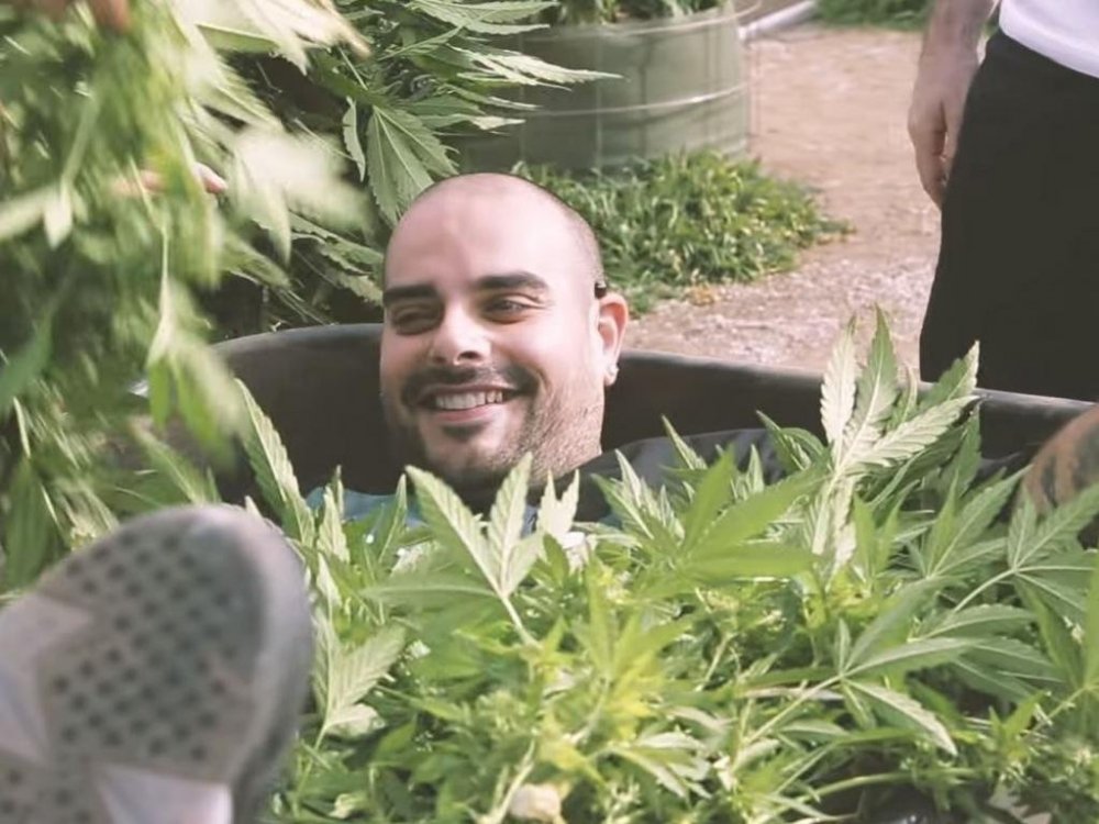berner.jpg