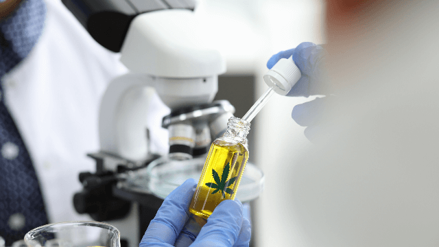 cannabis-drug-test(1).png