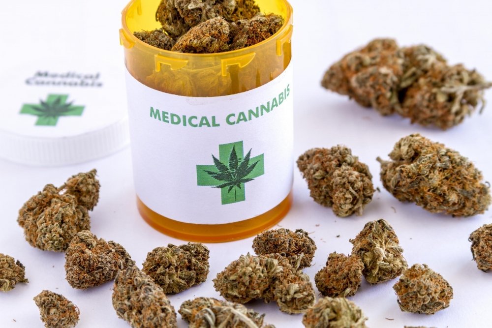 cannabis-important-drug.jpg