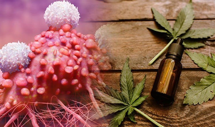 cbd-glioblastoma.jpg