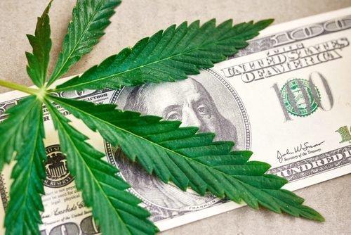 Доллары делают из конопли марихуана игра