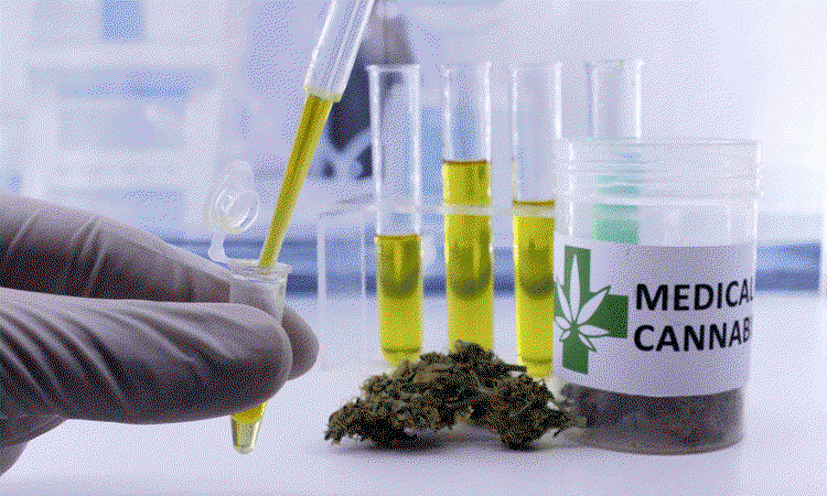un-medical-cannabis.gif
