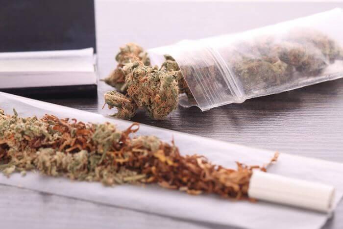 Смешать табак с коноплей познер за легализацию марихуаны