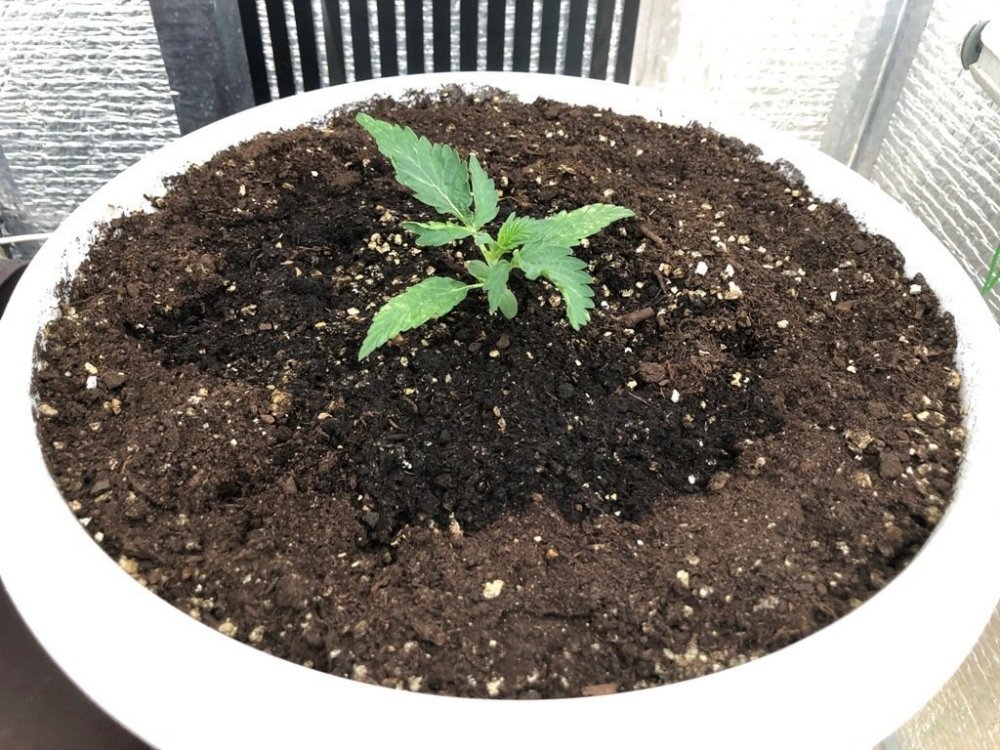 04.05.2020.jpg