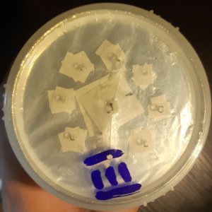 1.thumb.jpg.04a8f1d5c2edc7d0e30bc72760dd48c0.jpg