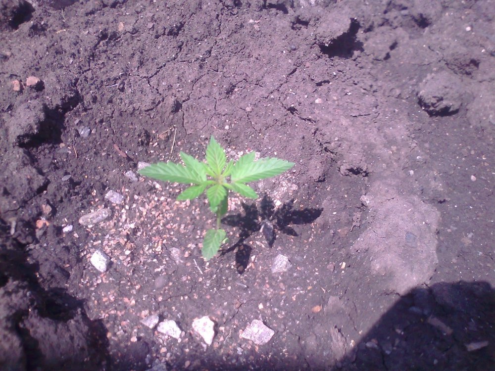 10_05_2020.jpg