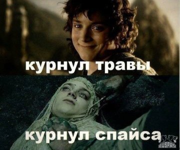 1546941463_.thumb.jpg.1e92a2a67bbdd3a5c166d088d81c81bb.jpg