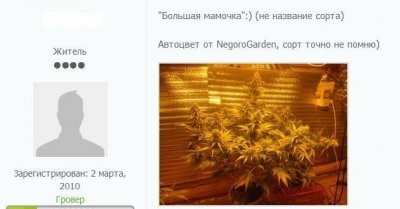 1705847880_9.thumb.JPG.a53be0a1dc57539bd97e5caf02cab94c.JPG