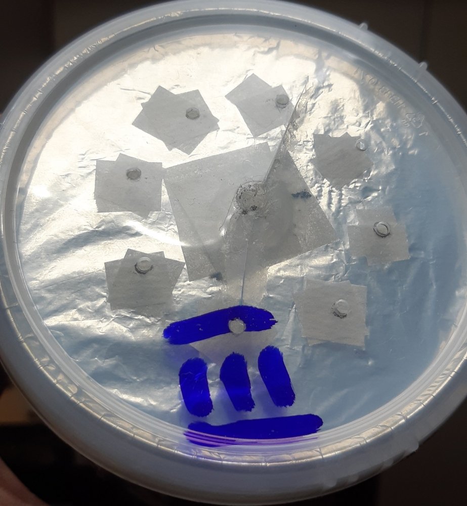 3.thumb.jpg.919d682816e3c8c5300f8e98370ec7ca.jpg