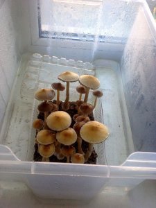 2 (1).jpg