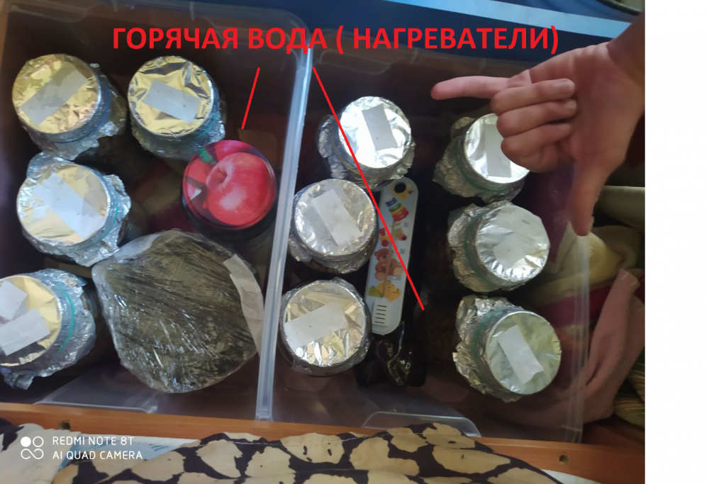 600366286_.thumb.png.362b8b88e5af04807a07a6dc90c66849.png