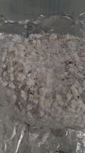 IMAG3545.jpg