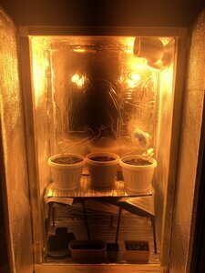 IMG_0866.jpg