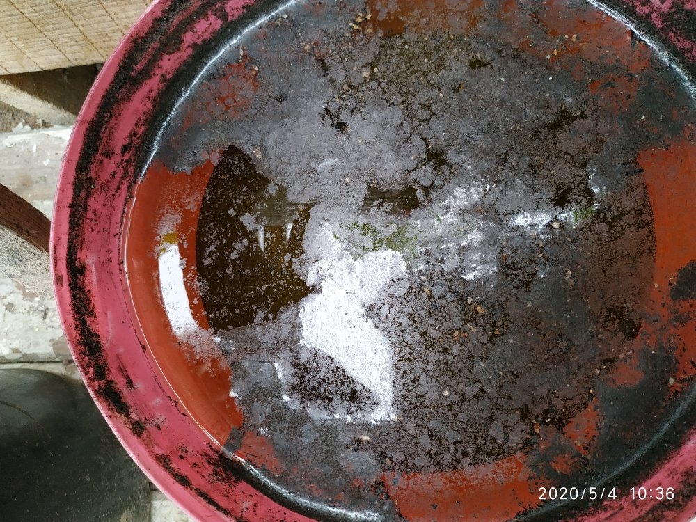 IMG_20200504_103604.jpg