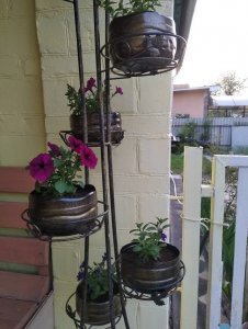 IMG_20200511_201922.jpg