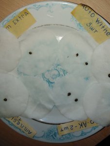 IMG_20200526_172758.jpg