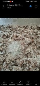 Screenshot_20200520_175037_com.android.gallery3d.jpg