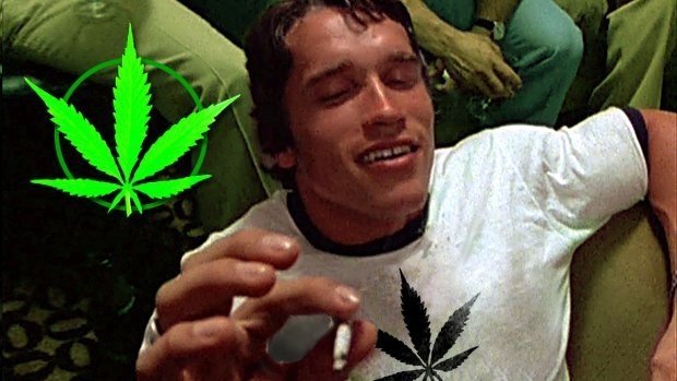 cannabis-high-tlevel.jpg