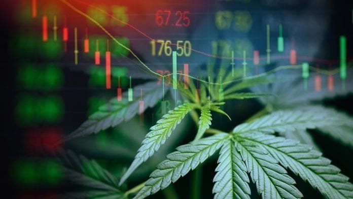cannabis-investing-bosov.jpg
