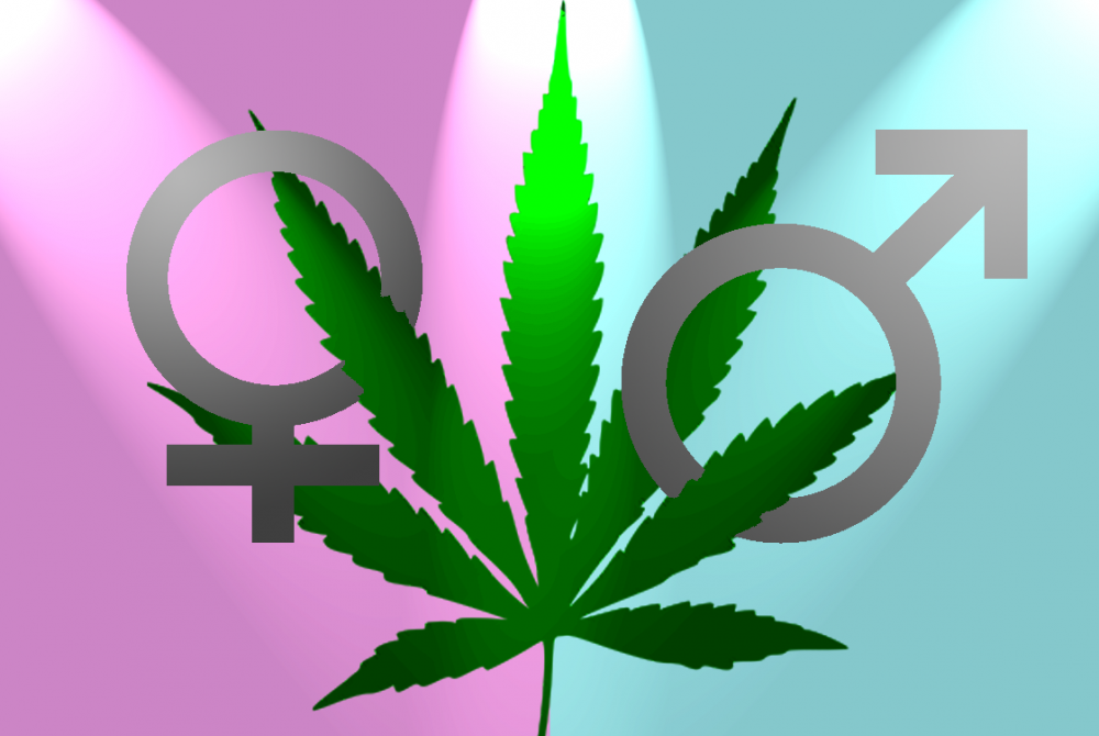 cannabis-libido-stimulate.png