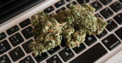 cannabis-online-order.jpg